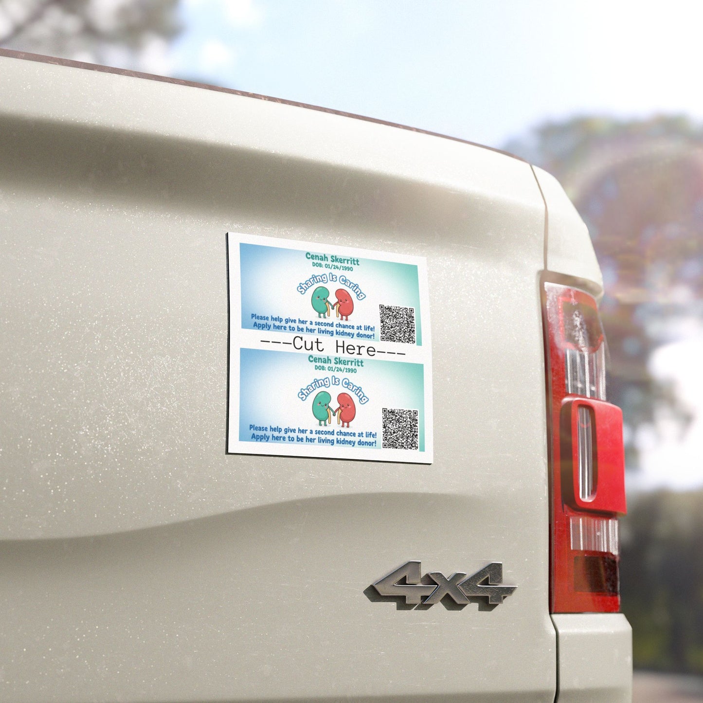 Sharing Is Caring kidney donor appeal Car Magnet | Organ Donation Awareness